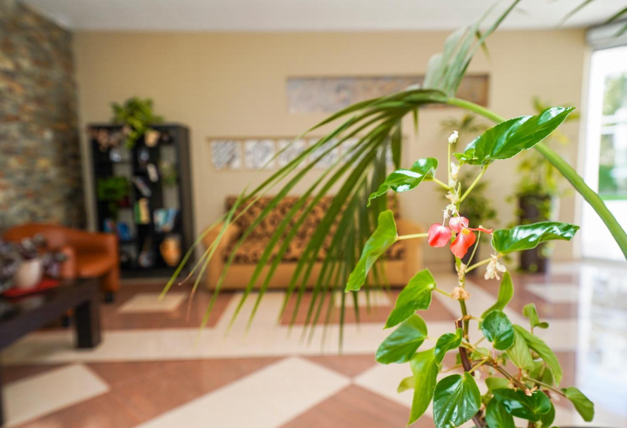 Hotel Pradillo Conil Кониль-де-ла-Фронтера Экстерьер фото